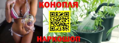 Альфа ПВП Новодвинск