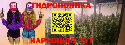 мдма Новозыбков