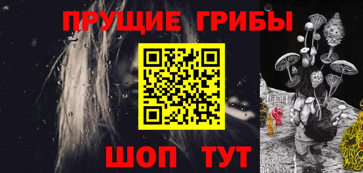 Балтийск  наркошоп  Псилоцибиновые грибы ЛСД  Вход с VPN  Псилоцибиновые грибы Cubensis 