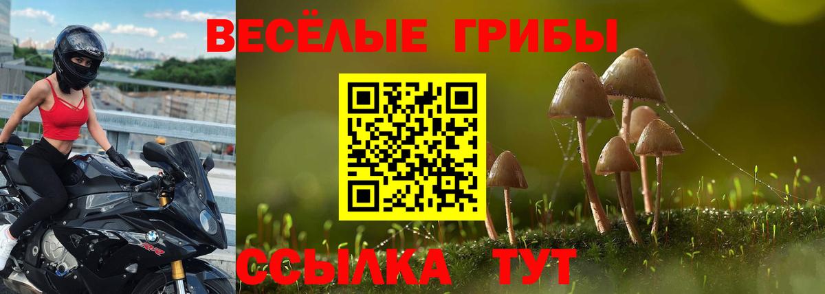 Псилоцибиновые грибы Magic Shrooms Балтийск